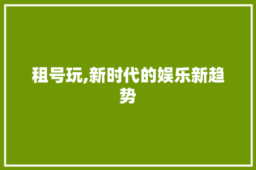 租号玩,新时代的娱乐新趋势