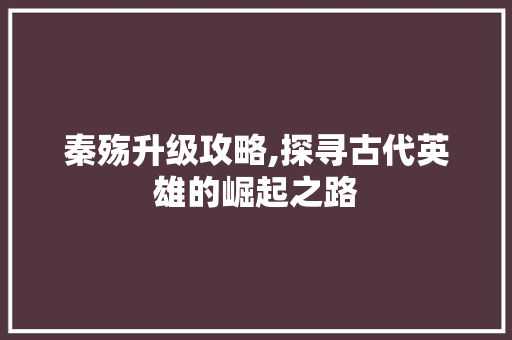 秦殇升级攻略,探寻古代英雄的崛起之路