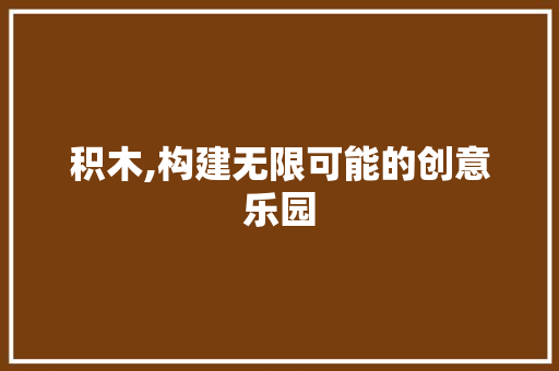 积木,构建无限可能的创意乐园