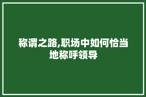 称谓之路,职场中如何恰当地称呼领导