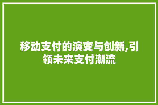 移动支付的演变与创新,引领未来支付潮流