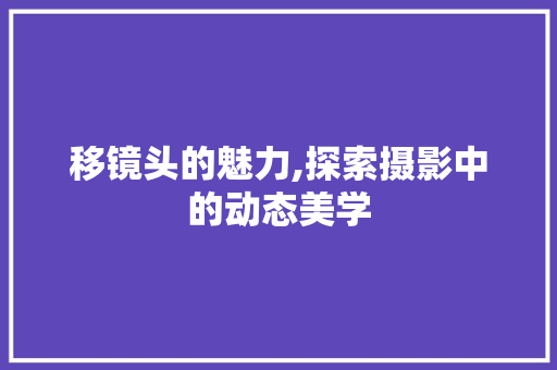 移镜头的魅力,探索摄影中的动态美学