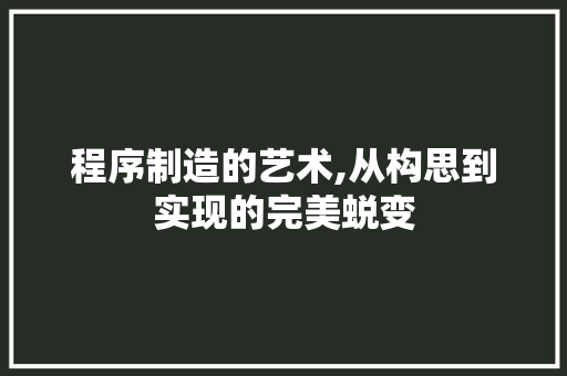 程序制造的艺术,从构思到实现的完美蜕变