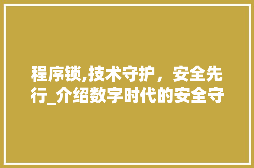 程序锁,技术守护，安全先行_介绍数字时代的安全守门人