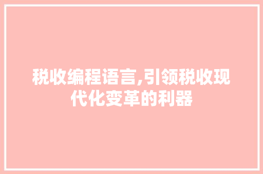 税收编程语言,引领税收现代化变革的利器