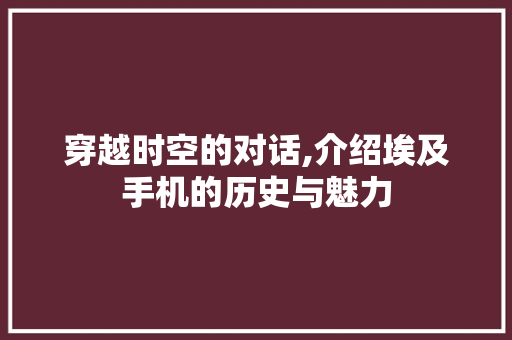 穿越时空的对话,介绍埃及手机的历史与魅力