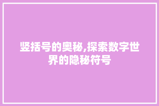 竖括号的奥秘,探索数字世界的隐秘符号