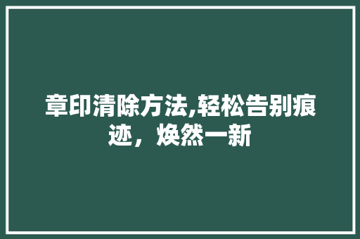 章印清除方法,轻松告别痕迹，焕然一新