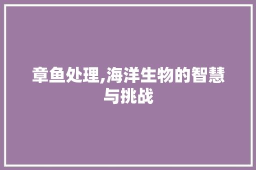 章鱼处理,海洋生物的智慧与挑战