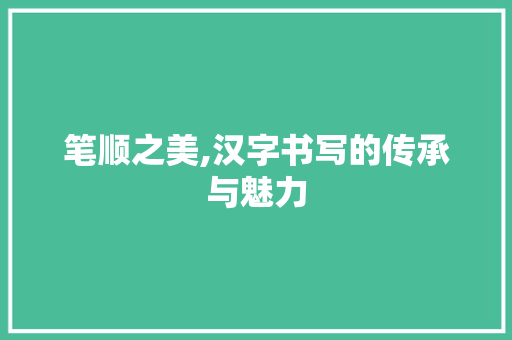 笔顺之美,汉字书写的传承与魅力 笔顺之美,汉字书写的传承与魅力