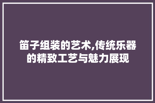 笛子组装的艺术,传统乐器的精致工艺与魅力展现 笛子组装的艺术,传统乐器的精致工艺与魅力展现