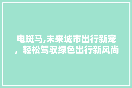 电斑马,未来城市出行新宠，轻松驾驭绿色出行新风尚