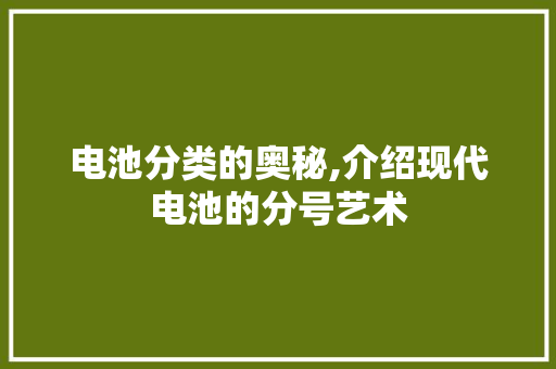 电池分类的奥秘,介绍现代电池的分号艺术 网络技术 电池分类的奥秘,介绍现代电池的分号艺术 网络技术