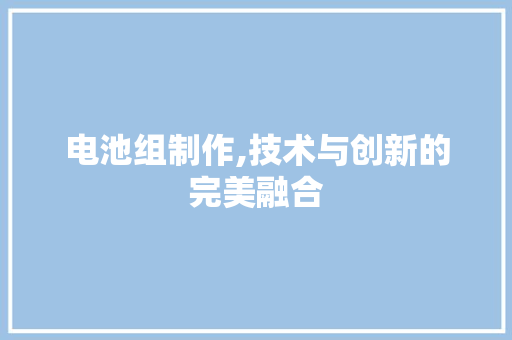 电池组制作,技术与创新的完美融合