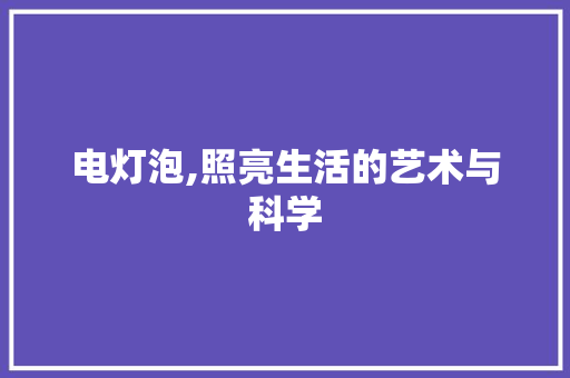 电灯泡,照亮生活的艺术与科学