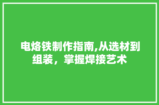 电烙铁制作指南,从选材到组装，掌握焊接艺术