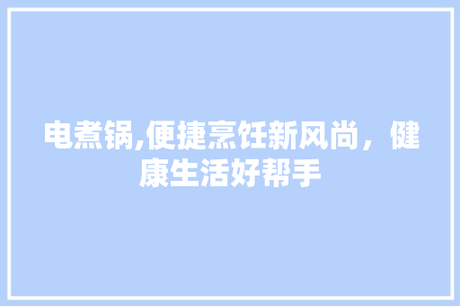 电煮锅,便捷烹饪新风尚，健康生活好帮手
