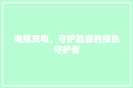 电瓶充电，守护能源的绿色守护者