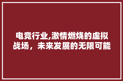 电竞行业,激情燃烧的虚拟战场，未来发展的无限可能