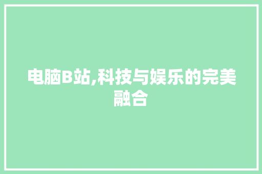 电脑B站,科技与娱乐的完美融合