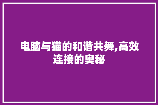 电脑与猫的和谐共舞,高效连接的奥秘