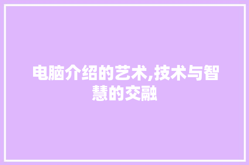 电脑介绍的艺术,技术与智慧的交融