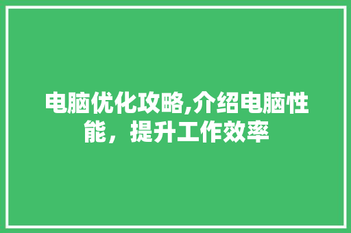 电脑优化攻略,介绍电脑性能，提升工作效率
