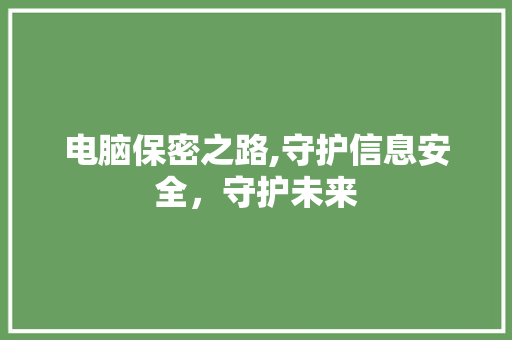 电脑保密之路,守护信息安全，守护未来