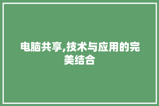 电脑共享,技术与应用的完美结合