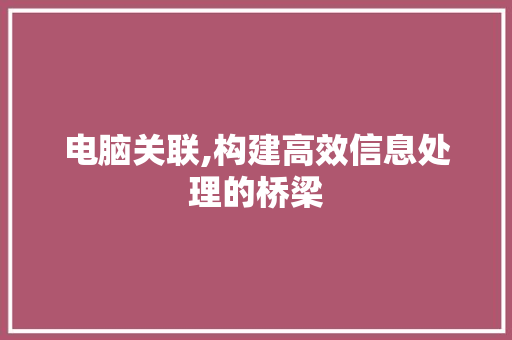 电脑关联,构建高效信息处理的桥梁