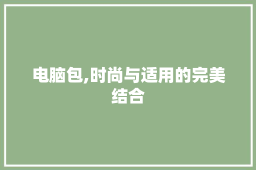 电脑包,时尚与适用的完美结合