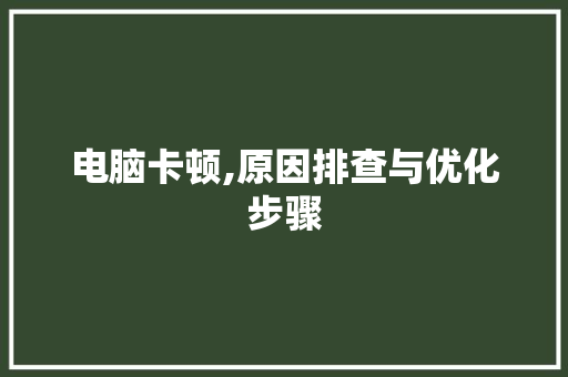 电脑卡顿,原因排查与优化步骤
