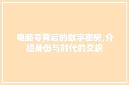 电脑号背后的数字密码,介绍身份与时代的交织