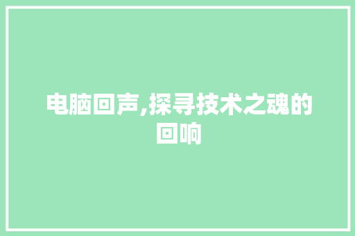 电脑回声,探寻技术之魂的回响