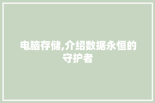 电脑存储,介绍数据永恒的守护者