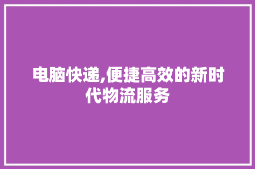 电脑快递,便捷高效的新时代物流服务 电脑故障维修