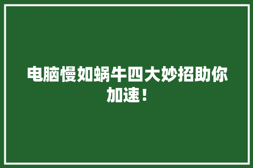 电脑慢如蜗牛四大妙招助你加速！ 电脑故障维修