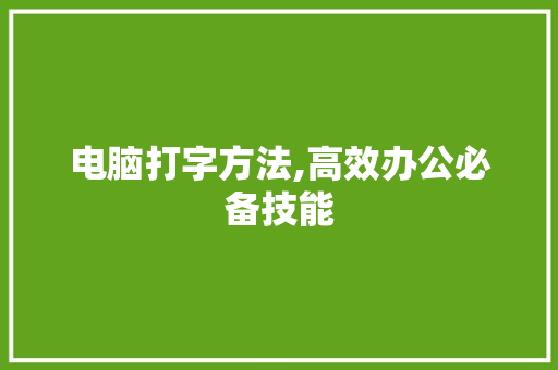 电脑打字方法,高效办公必备技能 操作系统
