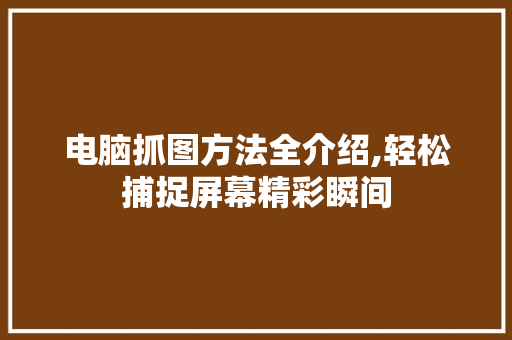 电脑抓图方法全介绍,轻松捕捉屏幕精彩瞬间 编程语言
