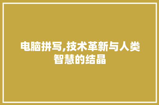 电脑拼写,技术革新与人类智慧的结晶 网络技术 电脑拼写,技术革新与人类智慧的结晶 网络技术