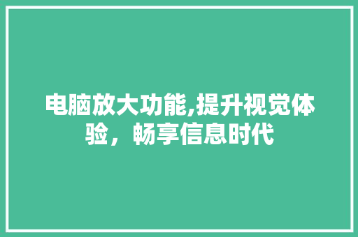 电脑放大功能,提升视觉体验，畅享信息时代 操作系统