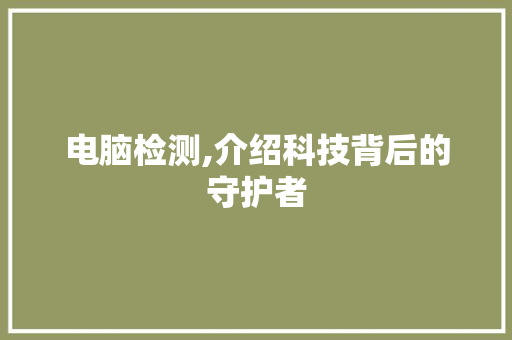 电脑检测,介绍科技背后的守护者 电脑故障维修