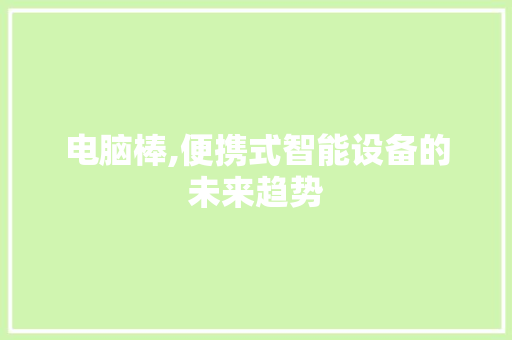电脑棒,便携式智能设备的未来趋势 电脑故障维修