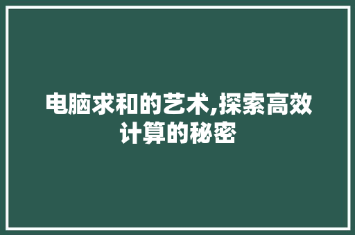 电脑求和的艺术,探索高效计算的秘密 电脑基础