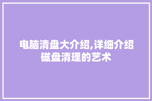 电脑清盘大介绍,详细介绍磁盘清理的艺术 电脑配置