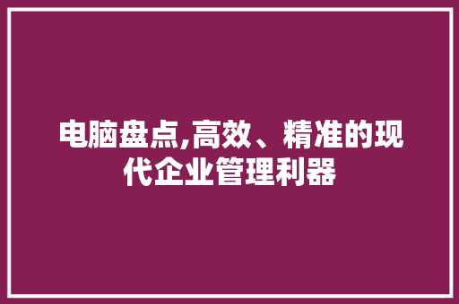 电脑盘点,高效、精准的现代企业管理利器 编程语言