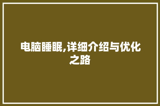 电脑睡眠,详细介绍与优化之路 电脑故障维修