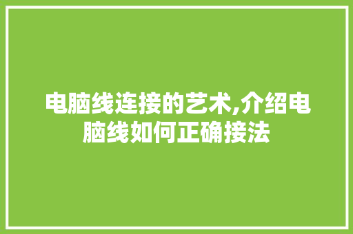 电脑线连接的艺术,介绍电脑线如何正确接法 网络技术