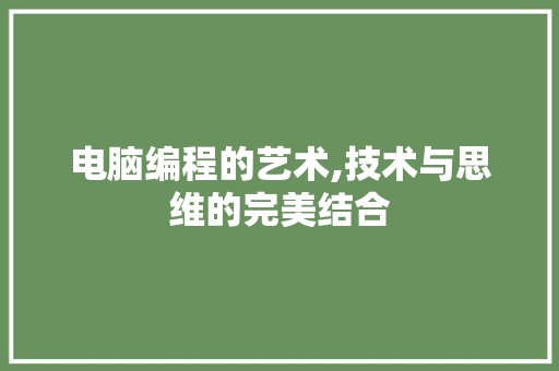 电脑编程的艺术,技术与思维的完美结合 网络技术