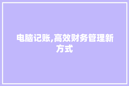 电脑记账,高效财务管理新方式 电脑基础